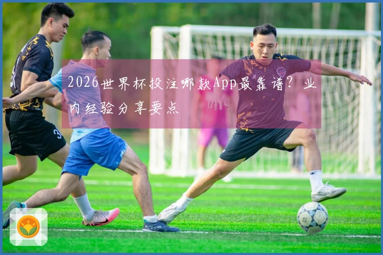 2026世界杯投注哪款App最靠谱?业内经验分享要点