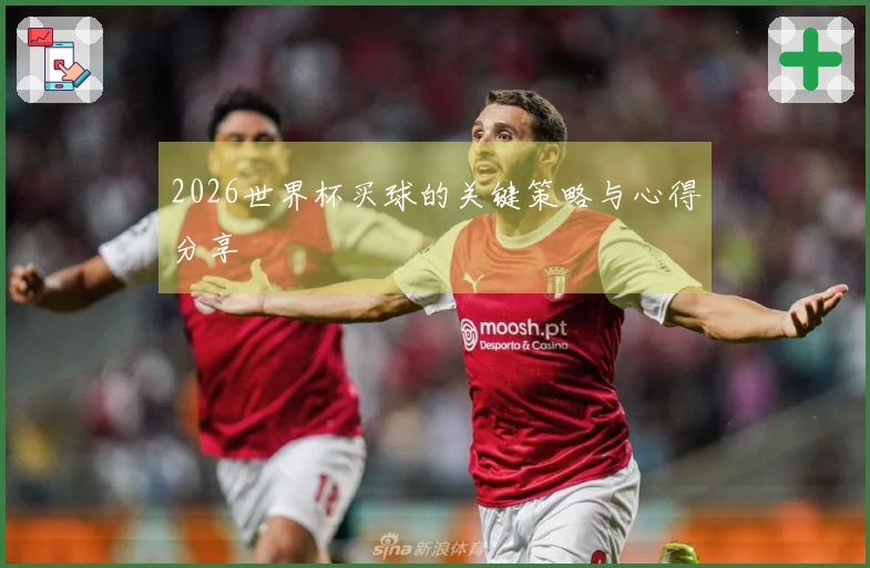 2026世界杯买球的关键策略与心得分享